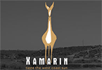 Xamarin